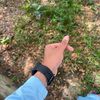 pojan_07