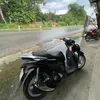 l.v.d7