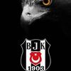 serkandegirmenci10