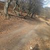 ilqar.ehmedov_1980