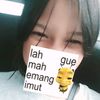 auliaa_imupppp