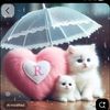tabeenfatimashahi524