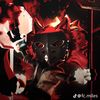 twotailedfox3