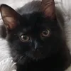 dynympyomi9q