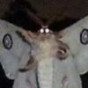 lamp_seeker