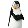 penguiniys