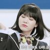 safia_818
