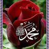heshamatsh449