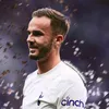 spurs4lifecoys1