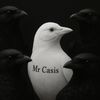 mr_casis07