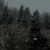 sar_8.9