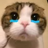 bottergm