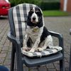 sandra123busfaherien1