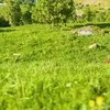 nkdvb5