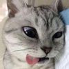 rainbouw_