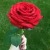 mdmominislam98778