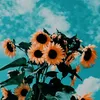 gretiiqe_