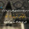 uzmaaltaf781