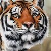 ksusha_51278