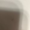 watmyname1