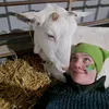 crazywelshperson