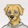 sunny_doooog