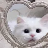 0o_melonya_o0