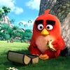 ahmadzay13