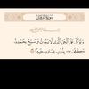 user3800173193303