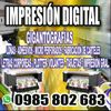 edgargomez883