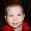baby_cows09