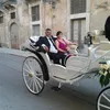 emanuelacancelli4