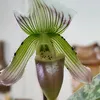 bui.vu.tuan