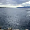graziapiazza31
