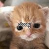 i_.l0v3_cats