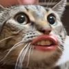 internet333jones