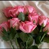 user3818003024168