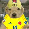 luis_david555