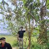 poponsunardi
