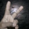 foiisso3
