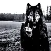 _.mrzfyii