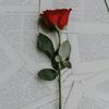 user58325161481
