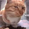 macita075
