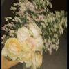 elshaviana_