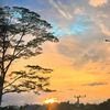 pecintasenjha3