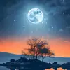 nrl_zhu