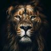 muslim__lion