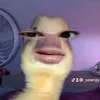 _sarangy.kra_