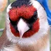 tarekgmail.com7
