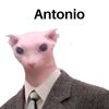 tonitruenos3000